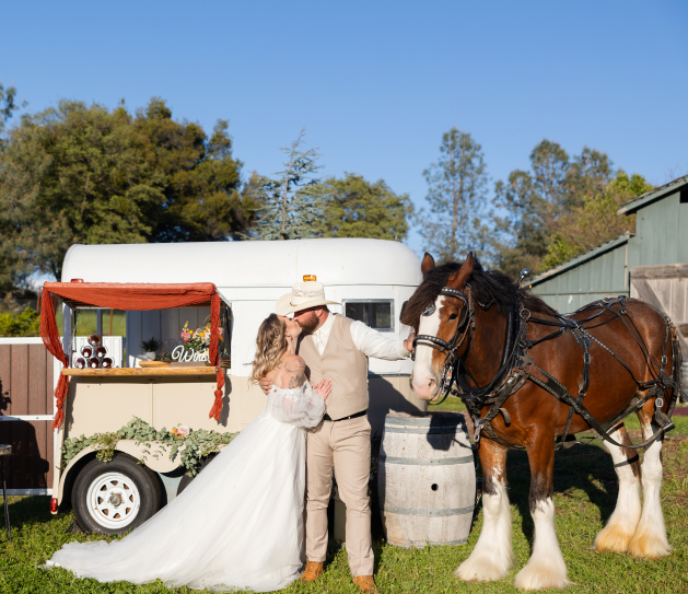 Bride and groom with horse--